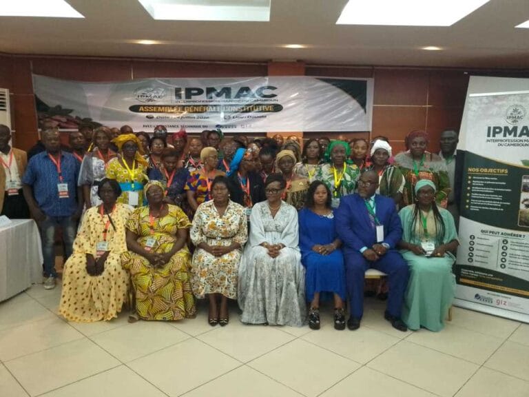 Cameroun – Agriculture : L’interprofession du manioc est née !